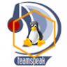 TeamSpeak 3 Server Linux 64 Bit